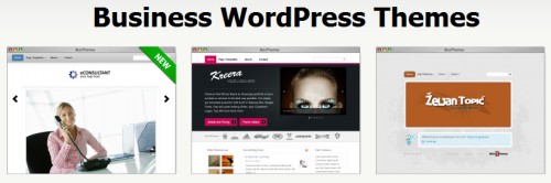 Красивые платные темы wordpress от bizzthemes